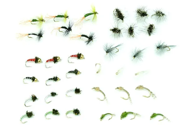 Midge Life Cycle Assortment #36