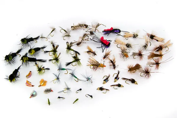 Montana Fly Assortment--36 Flies #37