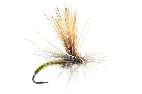 Missing Link Mercer's - Umpqua