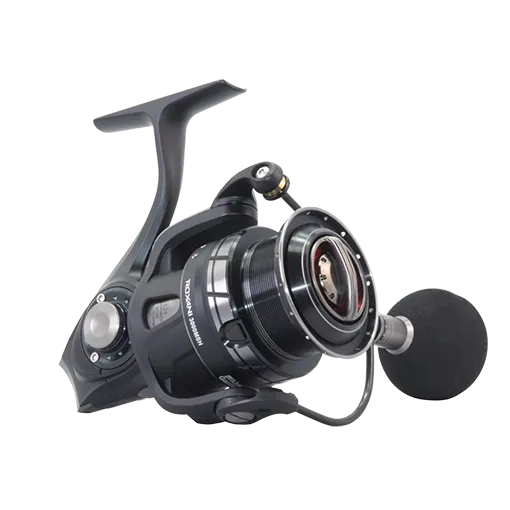 Abu Garcia Roxani Spinning Reel