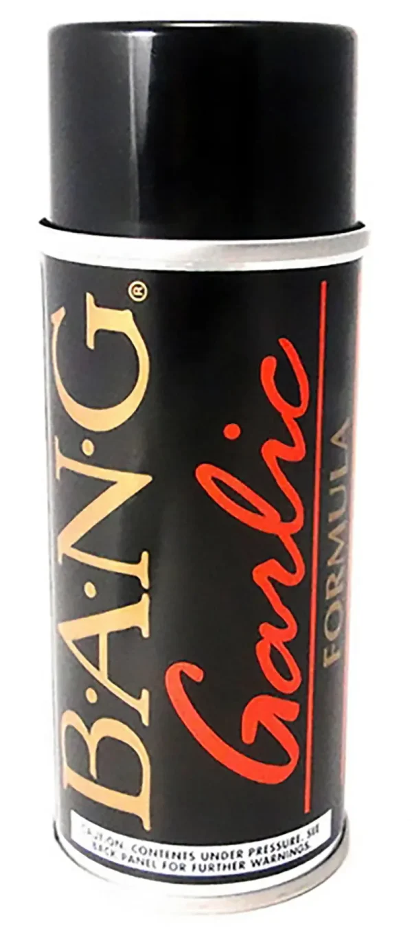 BANG Aerosol Spray Fish Attractant 5oz.