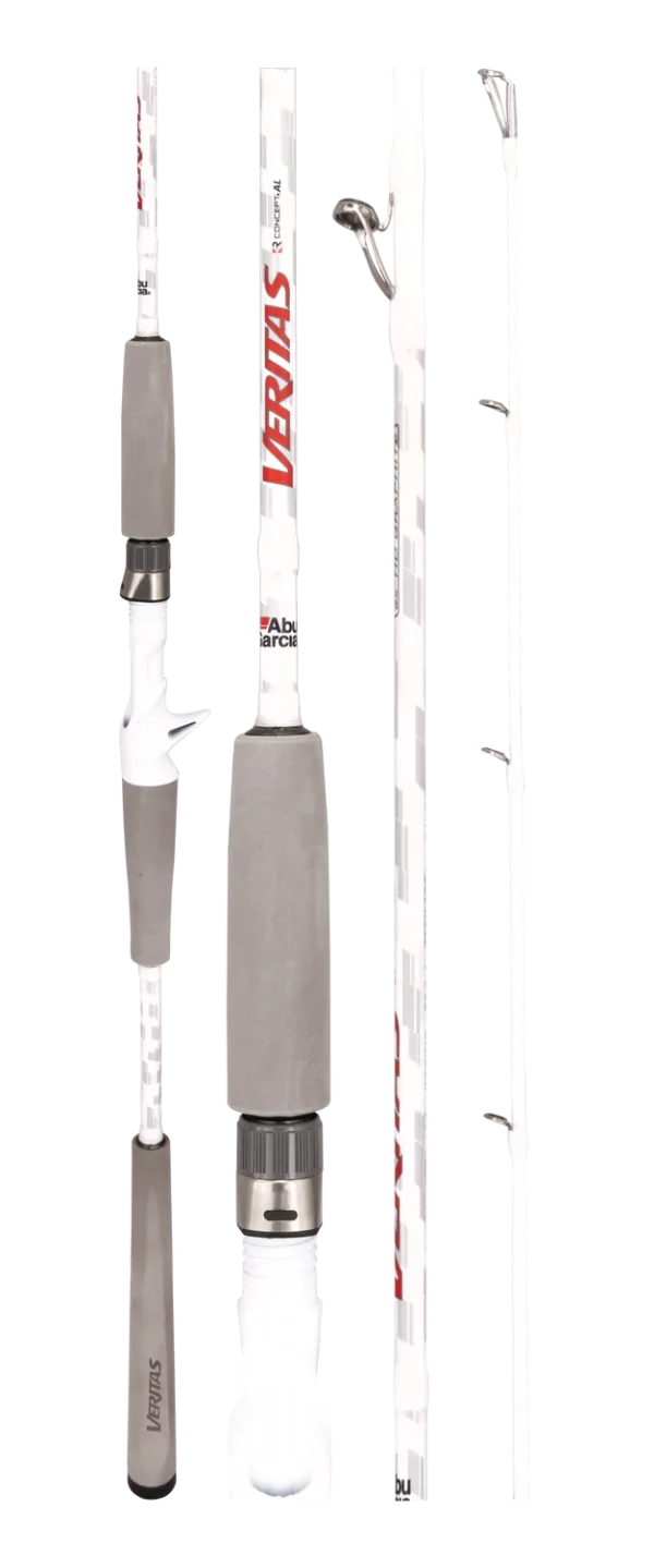 Abu Garcia Veritas 4 Jig Overhead Rod